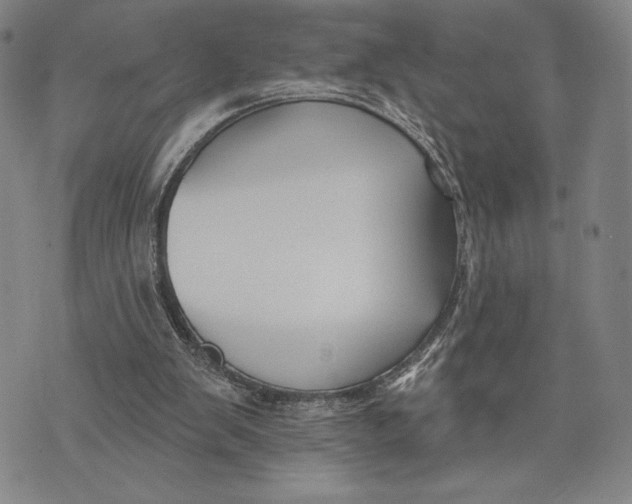 X0000076220103200610191543