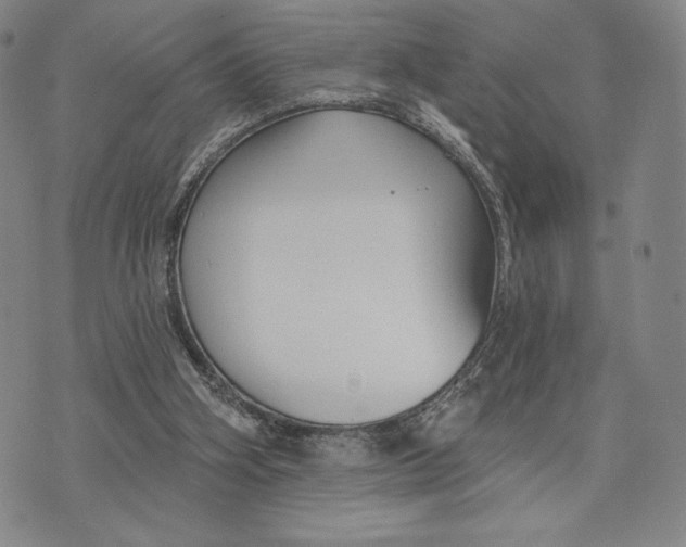 X0000076220106200610191543