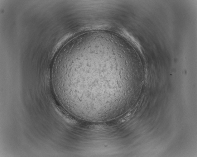 X0000076220107200610191543