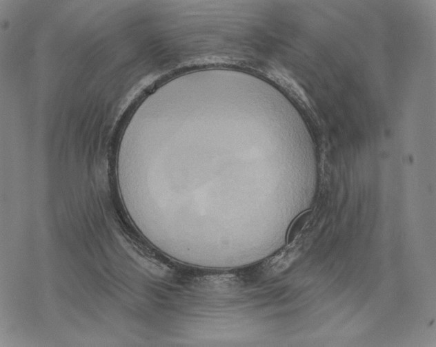 X0000076220108200610191543