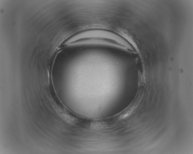 X0000076220109200610191543