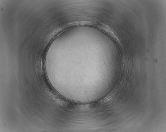 X0000076220110200610191543