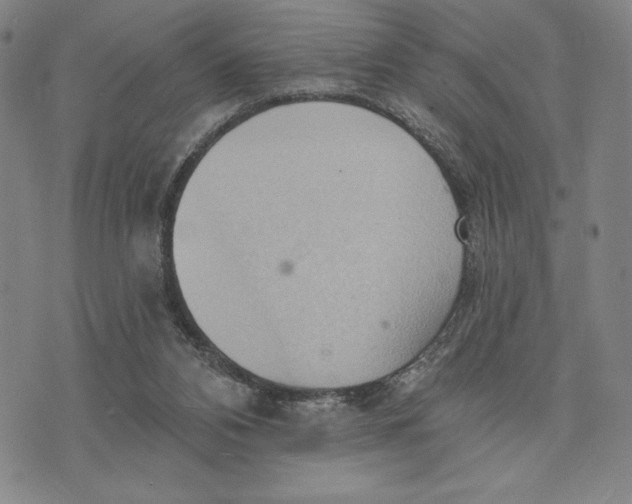 X0000076220112200610191543