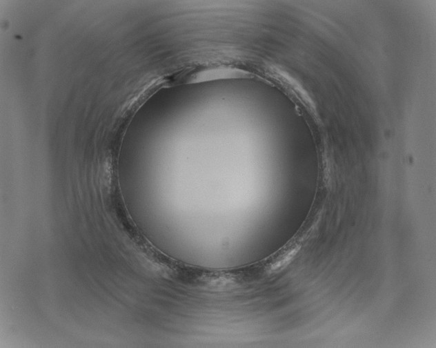 X0000076220113200610191543