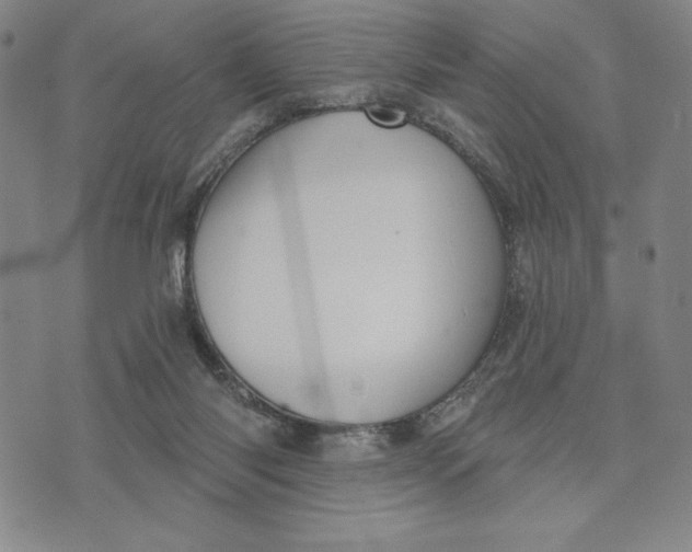 X0000076220118200610191542