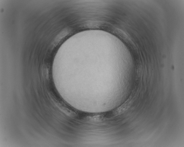 X0000076220120200610191542