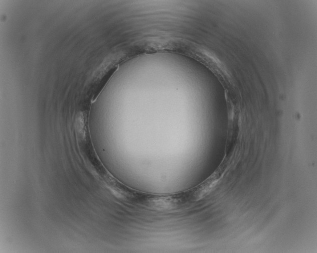 X0000076220121200610191542