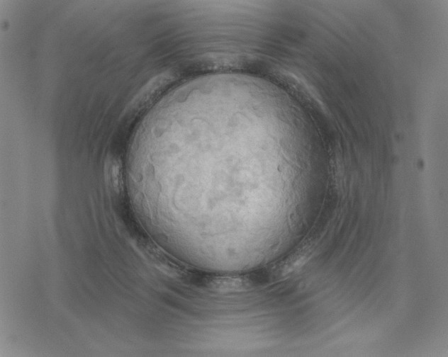 X0000076220123200610191542