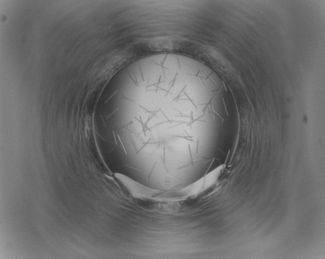 X0000076220125200610191542