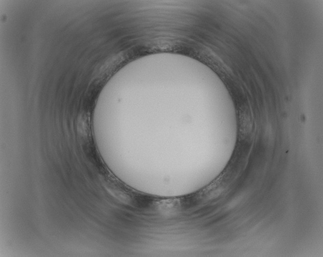 X0000076220126200610191542