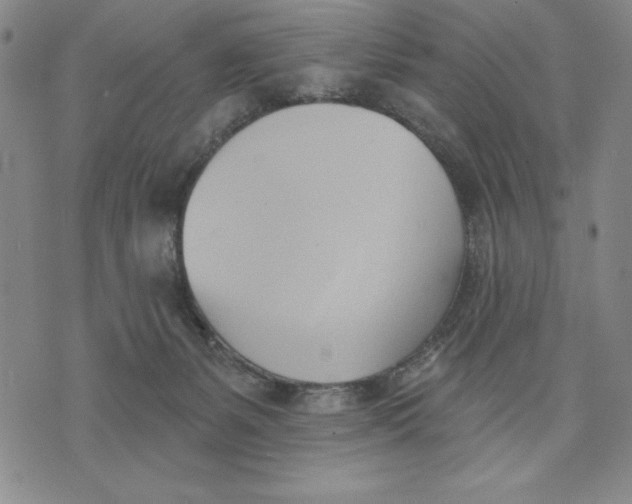 X0000076220127200610191542