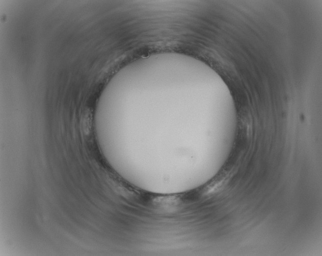 X0000076220133200610191542