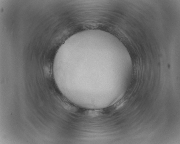 X0000076220134200610191542