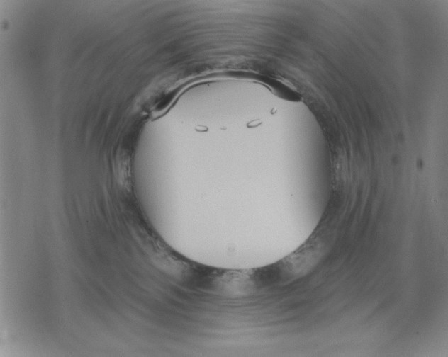 X0000076220138200610191542