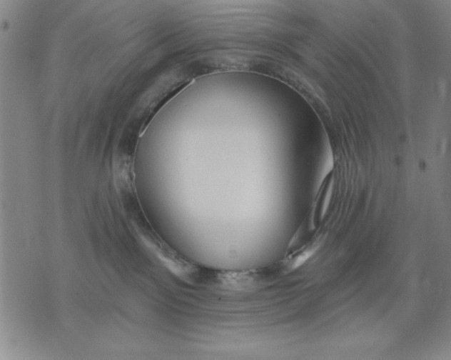 X0000076220141200610191542