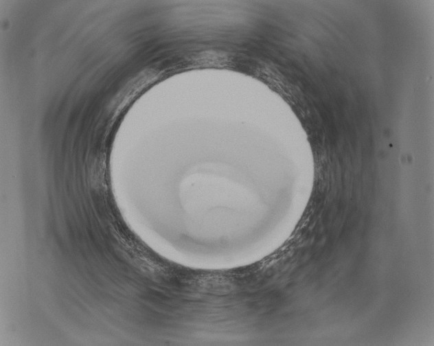 X0000076220146200610191541