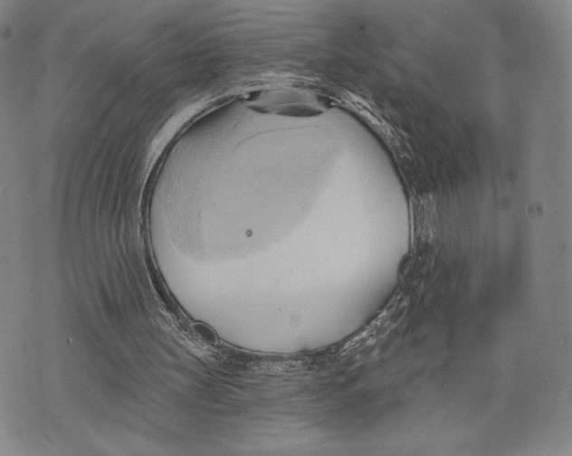 X0000076220147200610191541