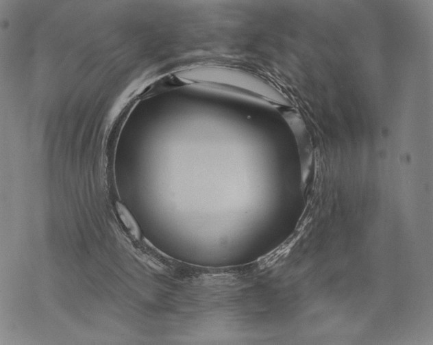 X0000076220150200610191541
