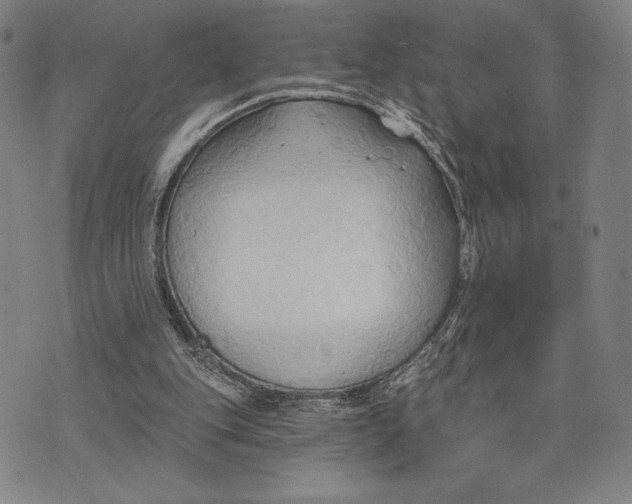 X0000076220151200610191541