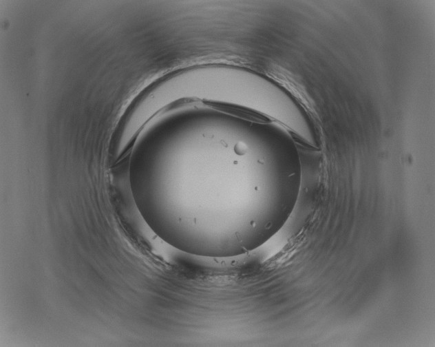 X0000076220156200610191541