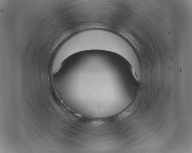 X0000076220158200610191541