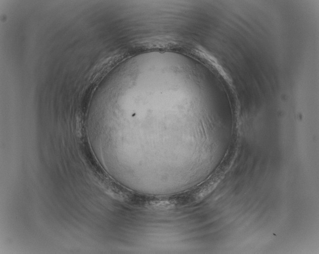 X0000076220161200610191542