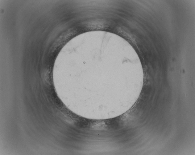 X0000076220162200610191542