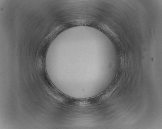 X0000076220165200610191542