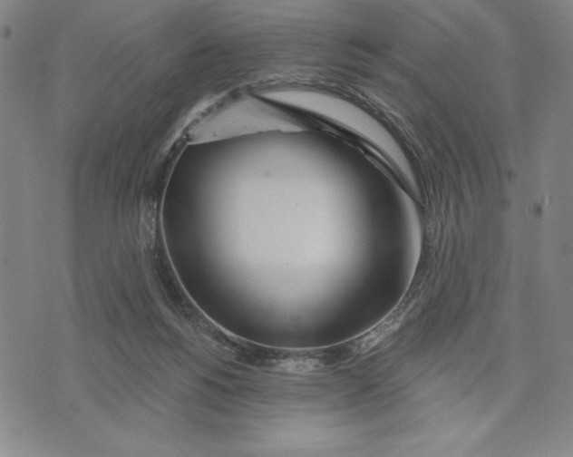 X0000076220168200610191542