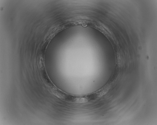 X0000076220169200610191542