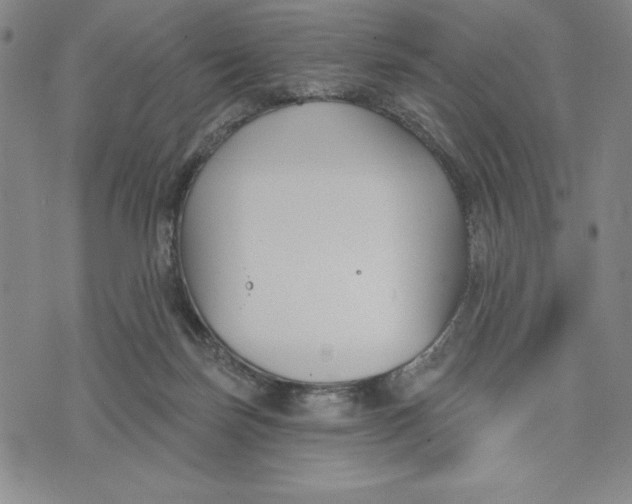 X0000076220171200610191542