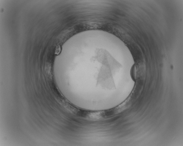 X0000076220178200610191542