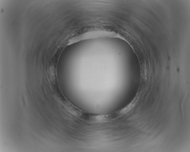 X0000076220184200610191542