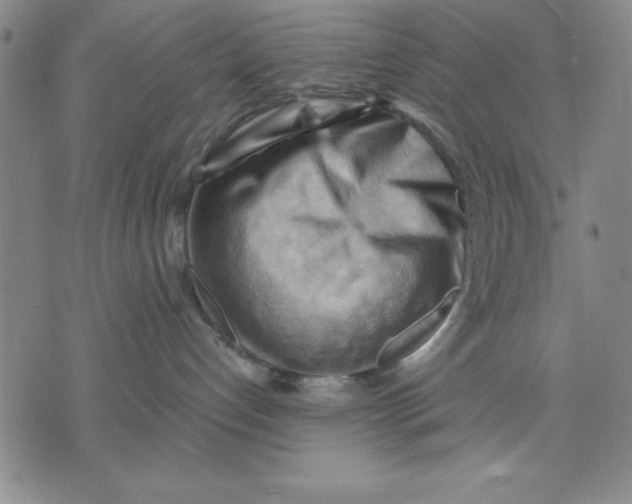 X0000076220192200610191542