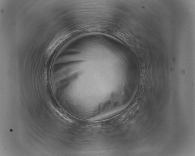 X0000076220194200610191541