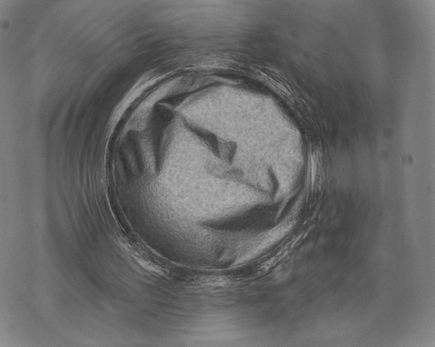 X0000076220195200610191541