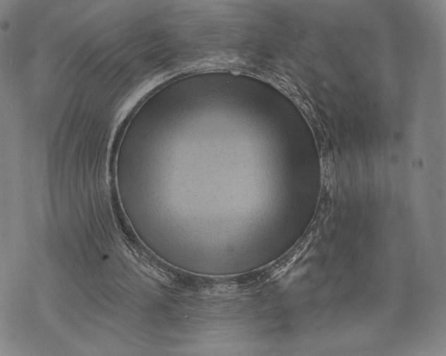 X0000076220196200610191541