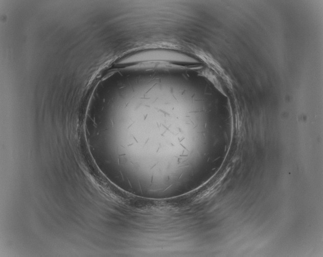 X0000076220201200610191541