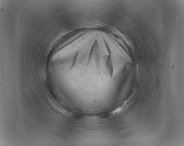 X0000076220203200610191541