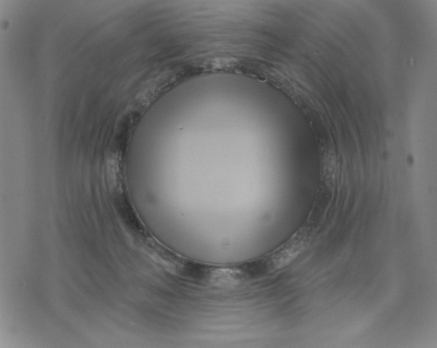 X0000076220222200610191541
