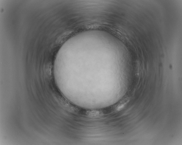 X0000076220230200610191541