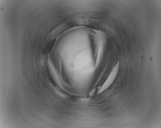 X0000076220233200610191541
