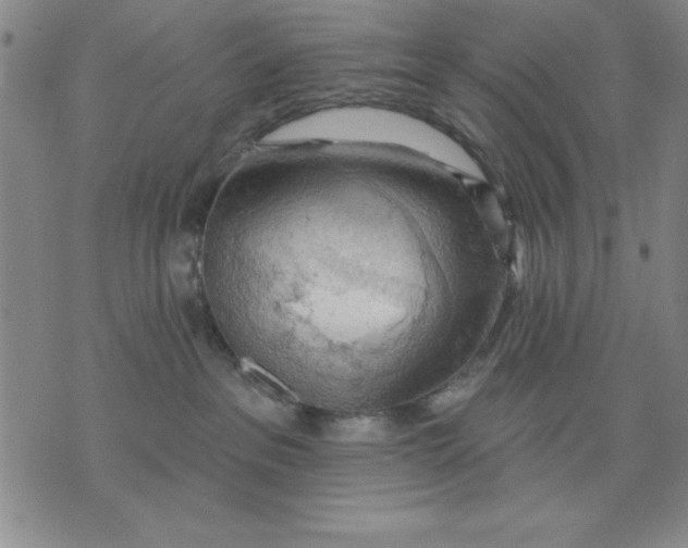 X0000076220237200610191540