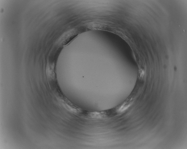 X0000076220239200610191540