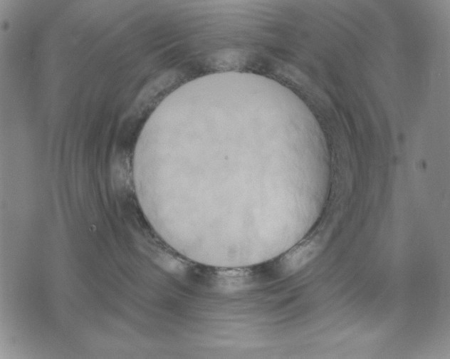 X0000076220240200610191540