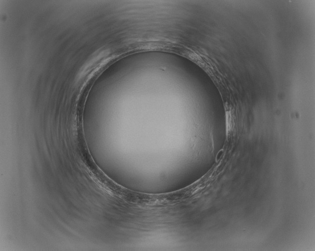X0000076220243200610191540