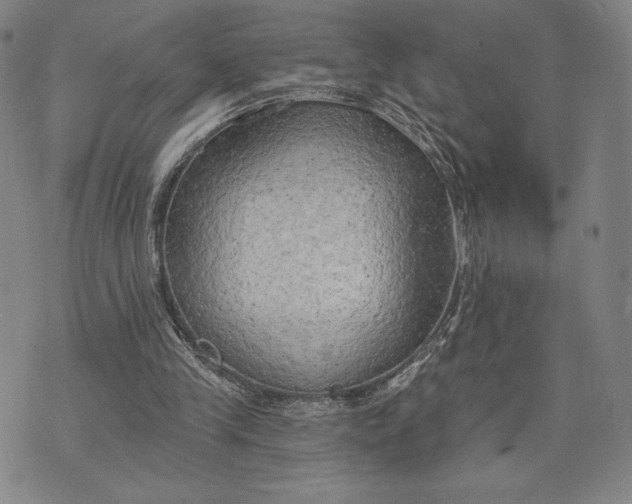 X0000076220245200610191540