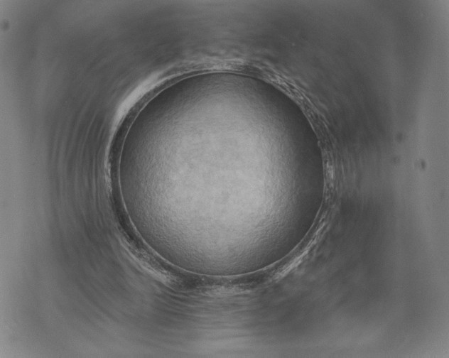 X0000076220246200610191540