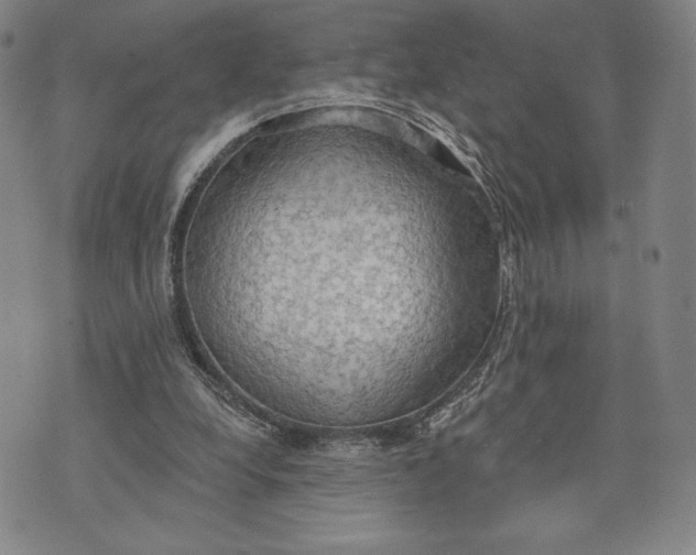 X0000076220248200610191540