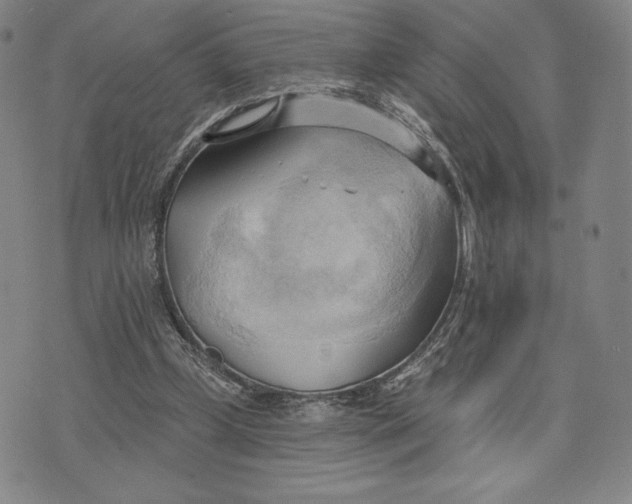 X0000076220249200610191540